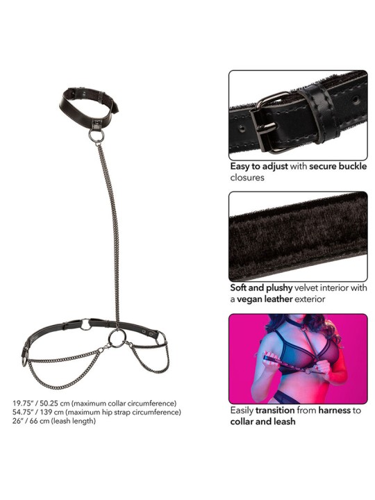 CALEXOTICS - EUPHORIA COLLIER LICOL ET LAISSE GRANDE TAILLE