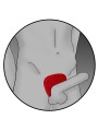 ELECTRASTIM - ACCESORIO ESTIMULACIÓN BASE PENE