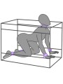 SECRET DOME - KINK CLUB LA NICHE CABIN PURPLE