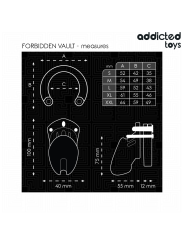 ADDICTED TOYS LOCKED - FORBIDDEN VAULT PENIS CAGE 10 CM
