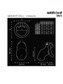 ADDICTED TOYS LOCKED - MINDNIGHT CELL CAGE À PÉNIS TAILLE L