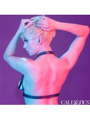 CALEXOTICS - EUPHORIA HALFTERSCHNALLENGESCHIRR SCHWARZ