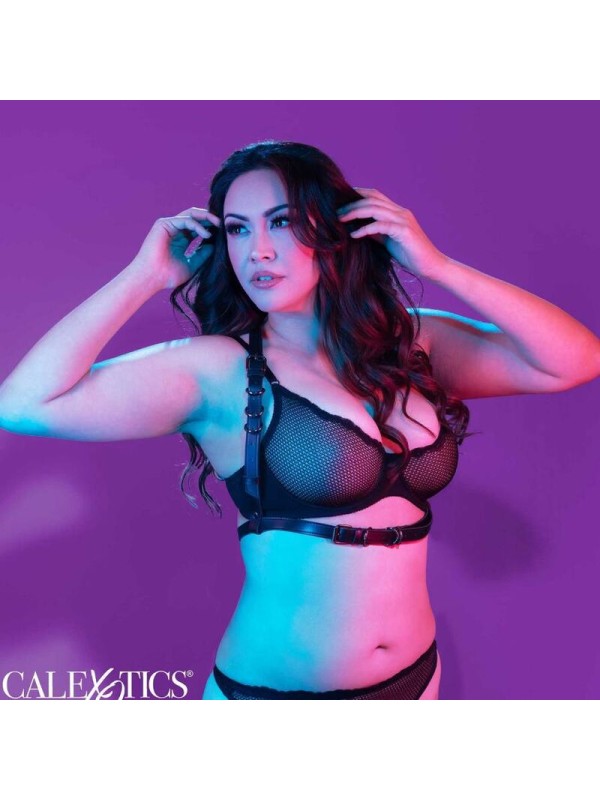 CALEXOTICS - EUPHORIA PLUS SIZE HALTER BUCKLE HARNESS BLACK