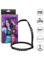 CALEXOTICS - EUPHORIA PLUS SIZE HALTER BUCKLE HARNESS BLACK