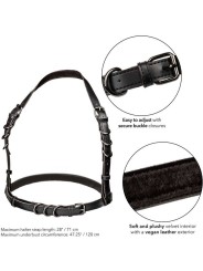 CALEXOTICS - EUPHORIA HARNAIS BOUCLE LICOL TAILLE PLUS NOIR