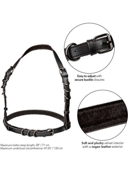 CALEXOTICS - EUPHORIA HARNAIS BOUCLE LICOL TAILLE PLUS NOIR