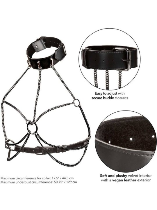CALEXOTICS - EUPHORIA HARNAIS COLLIER MULTI CHAÎNES TAILLE PLUS