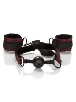 CALEXOTICS - SCANDAL ADEMENDE BAL GAG MET HANDBOEIEN