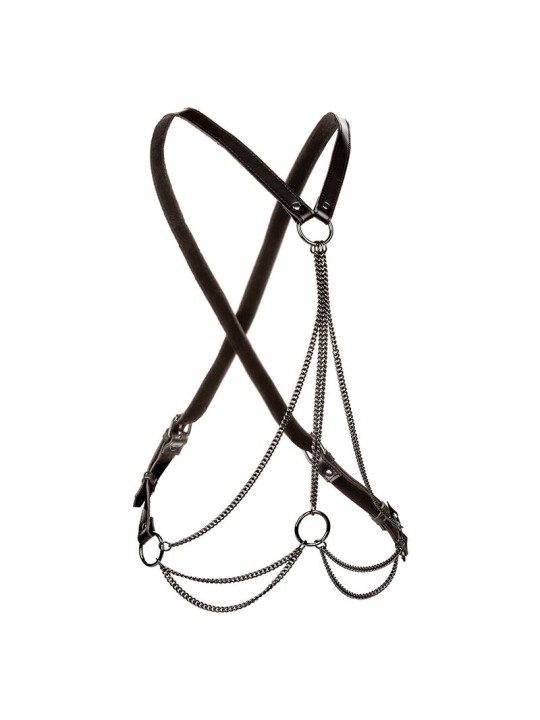 CALEXOTICS - EUPHORIA PREMIUM MULTI-CHAIN HARNAS PLUS MAAT