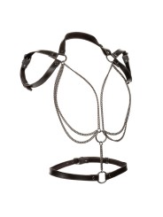 CALEXOTICS - EUPHORIA HARNAIS LICOL MULTICHAÎNES PREMIUM