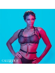 CALEXOTICS - EUPHORIA HARNAIS LICOL MULTICHAÎNES PREMIUM