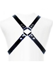 LEATHER BODY - BASIC HARNESS
