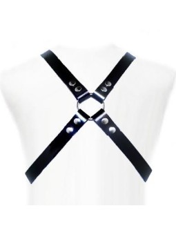 LEATHER BODY - BASIC HARNESS