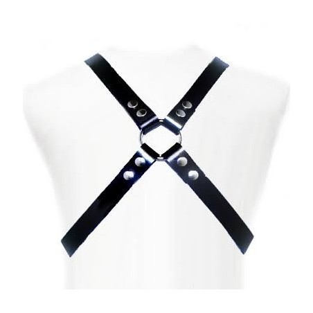 LEATHER BODY - BASIS HARNAS