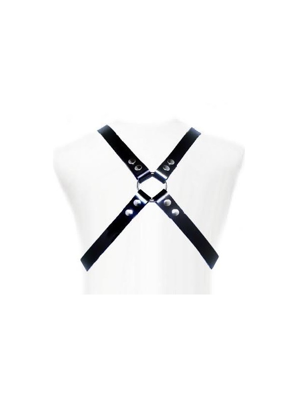 LEATHER BODY - BASIC HARNESS