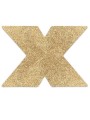 BIJOUX INDISCRETS - COPRI CAPEZZOLI FLASH ORO