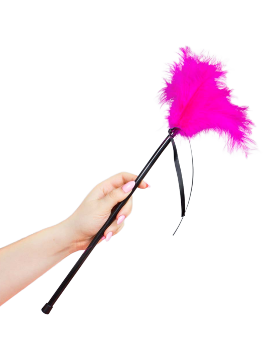 SECRETPLAY - PLUMES ROSE 40 CM