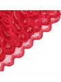 SUBBLIME - SATIN BABYDOLL WITH LACE RED S/M