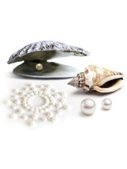BIJOUX INDISCRETS - MIMI PEARL GOLDEN