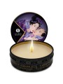 SHUNGA - MINI CARESS BY CANDLELIGHT ESPOSITORE CANDELE DA MASSAGGIO 24