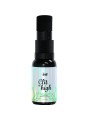 INTT RELEASES - CLIT ME HIGH CANNABIS OIL 15 ML