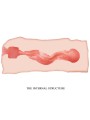 CRAZY BULL - JANE VAGINA MASTURBATOR 13.5 CM