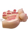 CRAZY BULL - GRACE TRONCO FEMININO REALISTA VAGINA E ANAL 7,5 KG