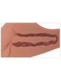 PDX PLUS - REALISTISCHE 360° BANGER MASTURBATOR VOOR BILLEN EN VAGINA