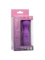 CALEXOTICS - EERSTE KEER OPLAADBARE MASSAGER 10 VIBRATIES VIOLET