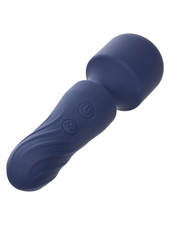 CALEXOTICS - CHARISMA CHARM 12 FUNCTIE MASSAGER PAARS