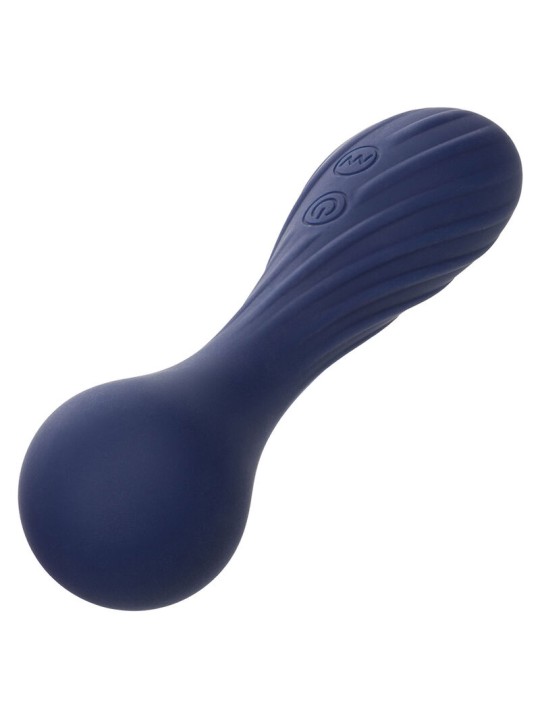 CALEXOTICS - CHARISMA TEMPTATION MASSAGER 12 FUNCTIES PAARS