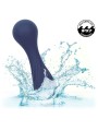 CALEXOTICS - CHARISMA TEMPTATION MASSAGER 12 FUNCTIONS PURPLE