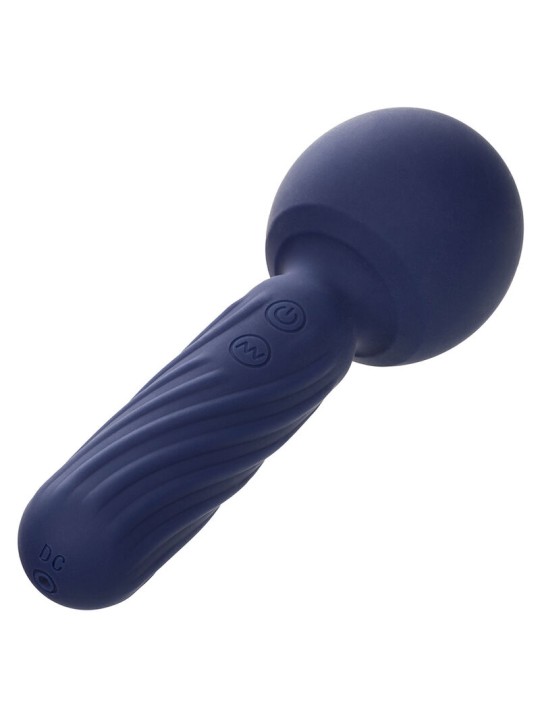 CALEXOTICS - CHARISMA SEDUCTION MASSEUR 12 FONCTIONS 17,75 CM X 6,25 C