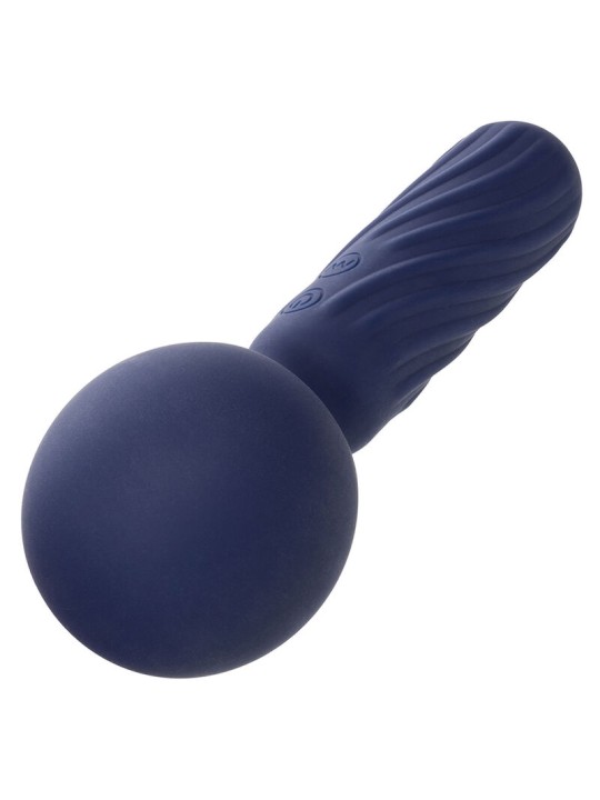 CALEXOTICS - CHARISMA SEDUCTION MASSEUR 12 FONCTIONS 17,75 CM X 6,25 C