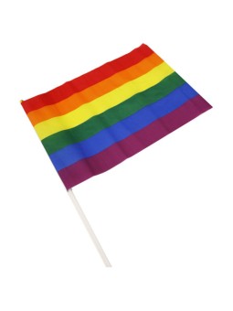 PRIDE - LGBT VLAG GROTE WIMPEL