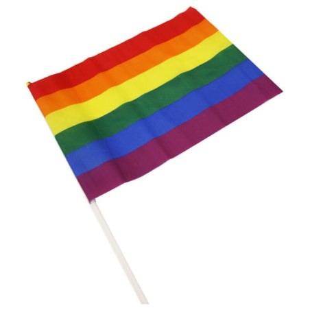 PRIDE - LGBT VLAG GROTE WIMPEL