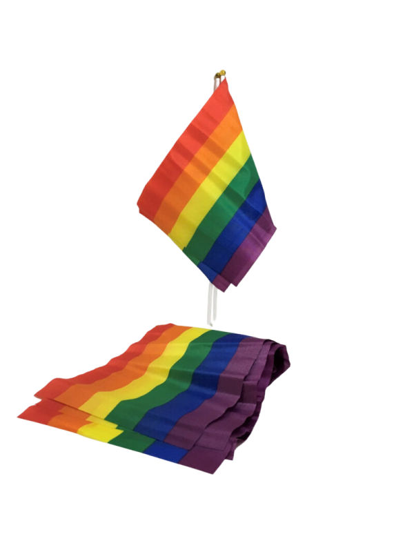 PRIDE - BANDEIRA LGBT BANDEIRA PEQUENA