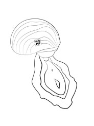 ROMP - SPIN CLITORAL SUCTION ANTITUDE COM ABERTURA E FECHAMENTO ROTATI