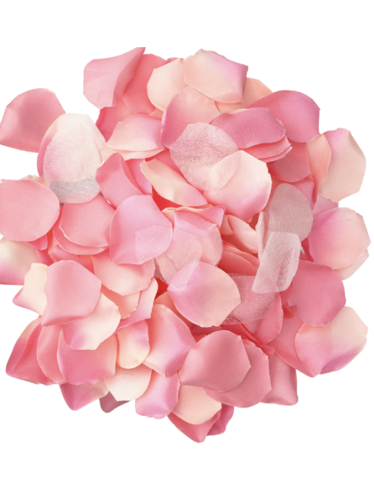 DIABO PICANTE - 100 PÉTALAS ROSA