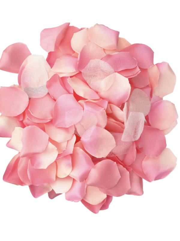 DIABO PICANTE - 100 PÉTALAS ROSA