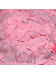 DIABO PICANTE - 100 PÉTALAS ROSA