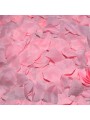 DIABO PICANTE - 100 PÉTALAS ROSA
