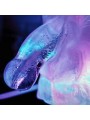 PLAY WIV ME - HUGE PENIS ICE LUGE MOULE