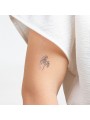 SECRET PLAY - ENSEMBLE DE 10 TATOUAGES TEMPORAIRES KINKY COLLECTION