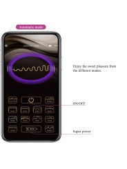PRETTY LOVE - LEVIATHAN APP-GECONTROLEERDE VIBRATOR PAARS