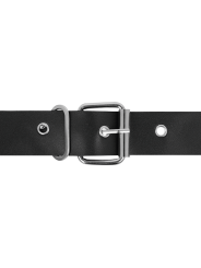 HARNESS ATTRACTION - RNES MURDOCK 19,8 + 15 CM -OF- 4 CM