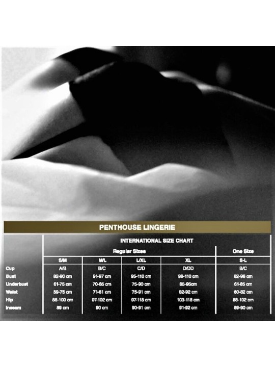 PENTHOUSE - SCANDALOUS TEDDY BRANCO XL