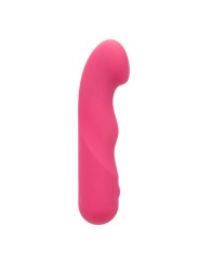 CALEXOTICS - PIXIES CURVY ROSE